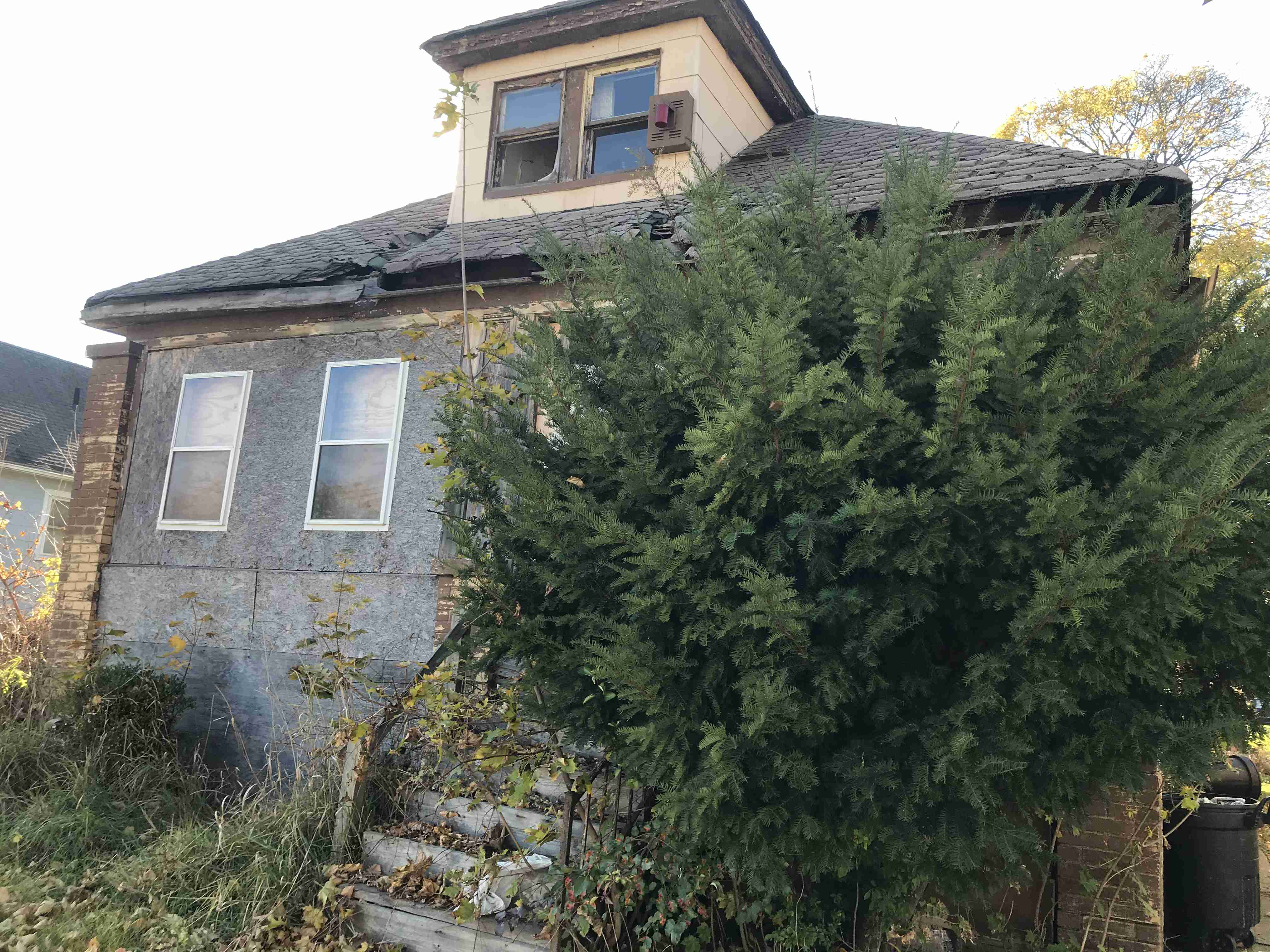 Photo Nov 03, 2 07 16 PM.jpg